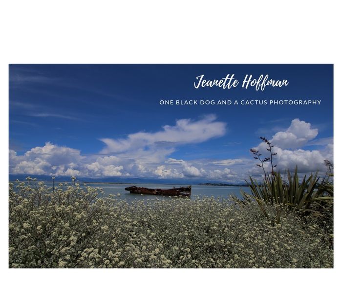 Janie Seddon Ship Wreck